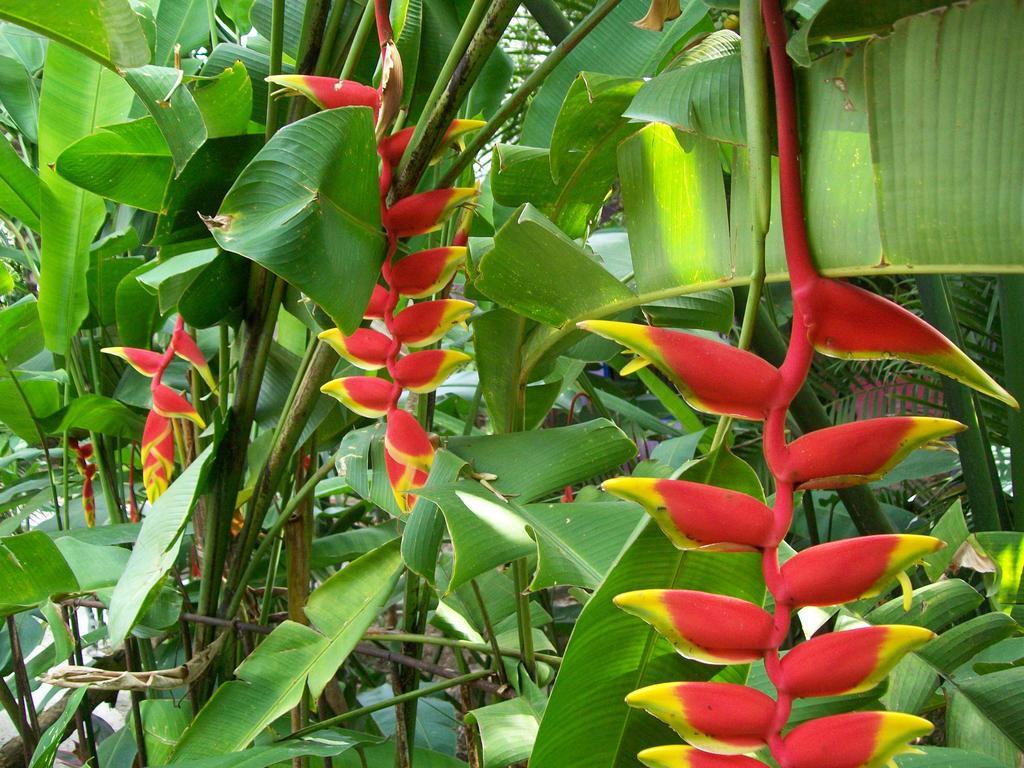 Posada El Jardin Ticul Eksteriør bilde